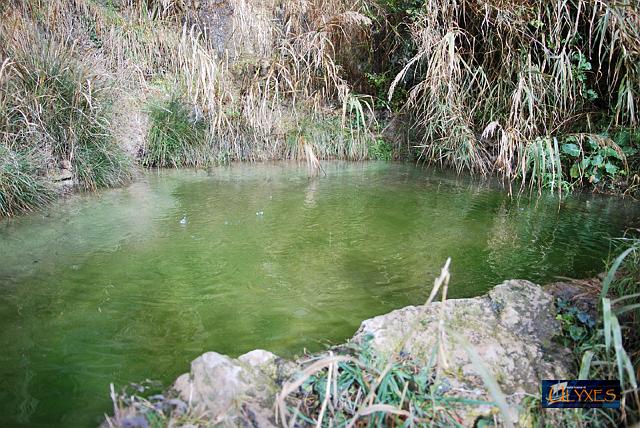 raccolta acqua piovana.JPG